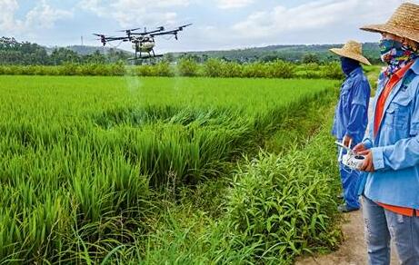 獸藥殘留檢測儀